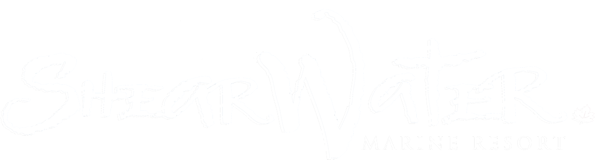 Supporting Sponsors - Calligraphy (1200x465), Png Download