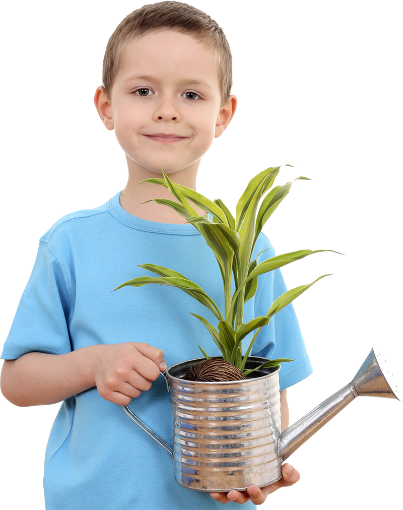 Birthday Buddies - Child Planting Png (800x1012), Png Download