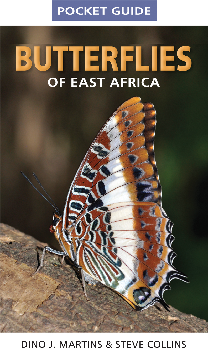 Pocket - Pocket Guide Butterflies Of East Africa (1701x1701), Png Download