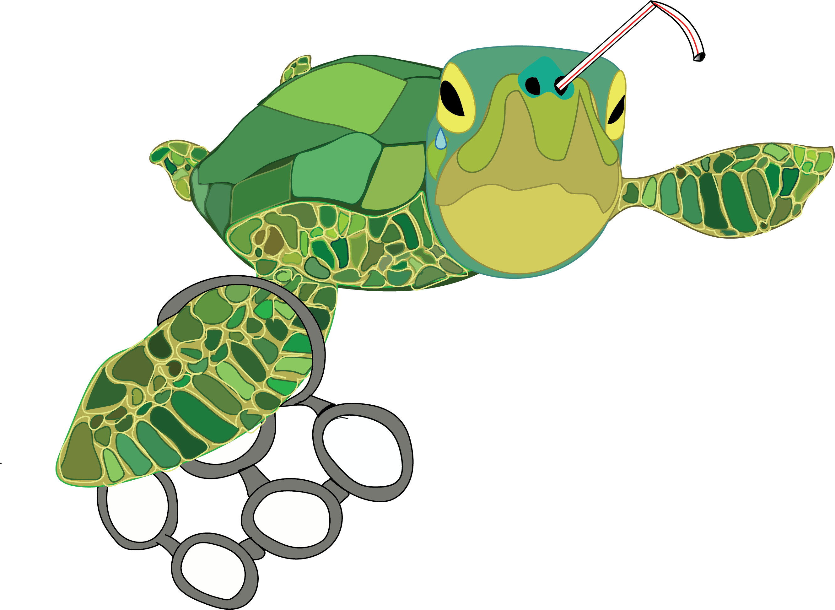 A Case For Why Plastic Straws Need To Go - Plastic Straws And Sea Turtles (2660x1943), Png Download