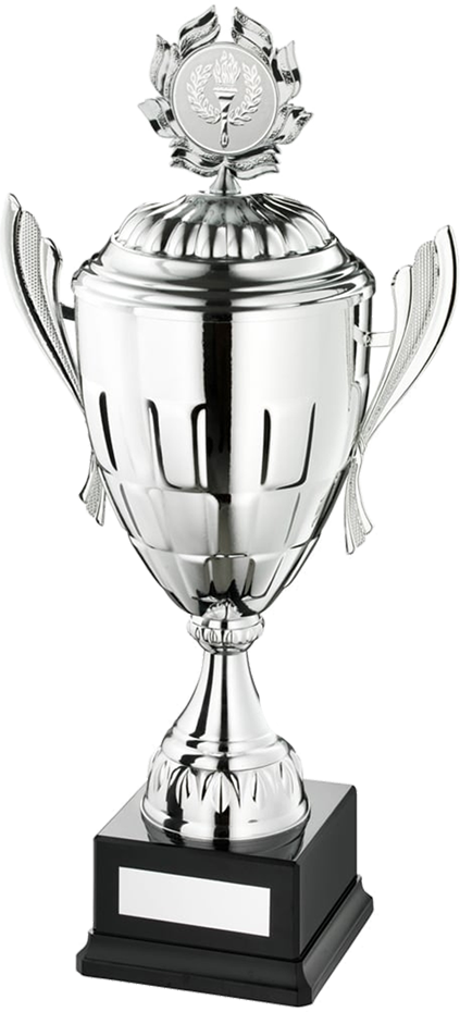 Spa Trophies - Trophy (423x930), Png Download