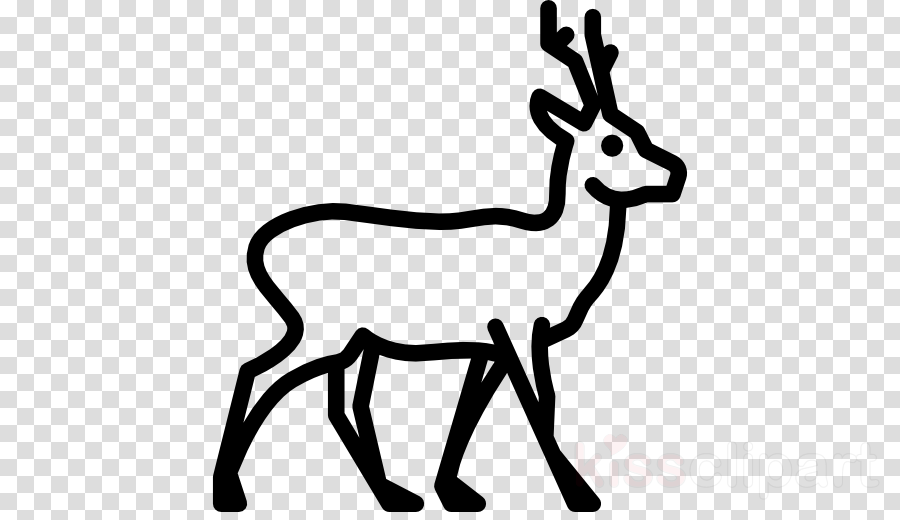Icon Clipart Reindeer Disney's Animal Kingdom - Icon (900x520), Png Download