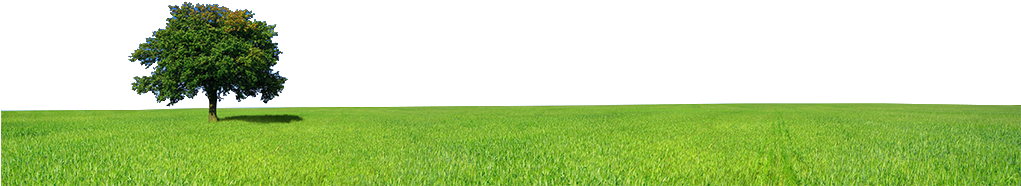 Go To Image - Green Computing (1020x325), Png Download