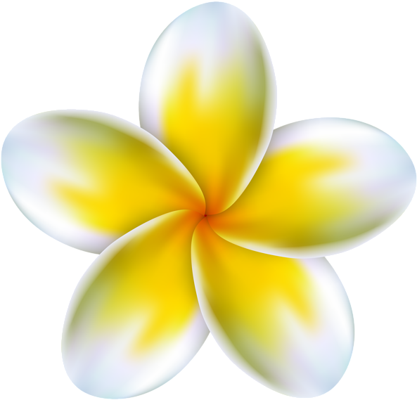 0, - Clip Art (600x574), Png Download