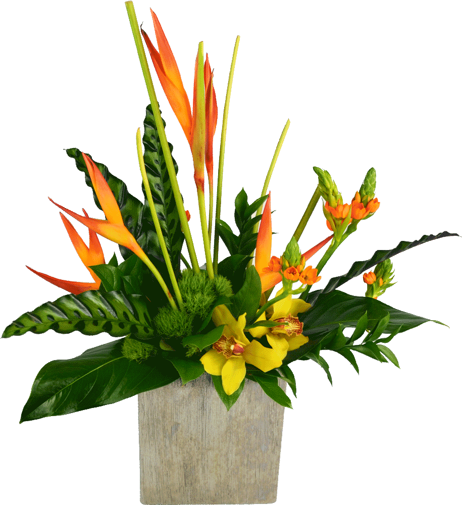 Tropical Flower Vase Png - Flower (1024x1024), Png Download