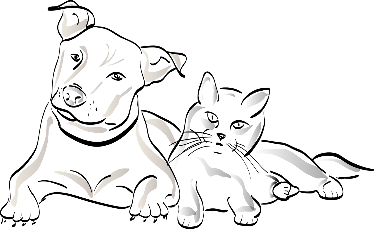 Why Dogs Kills Cats - Dog (1280x786), Png Download
