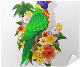 Rainbow Lorikeet On Tropical Flowers Poster • Pixers® - Rainbow Lorikeets Illustration (400x400), Png Download