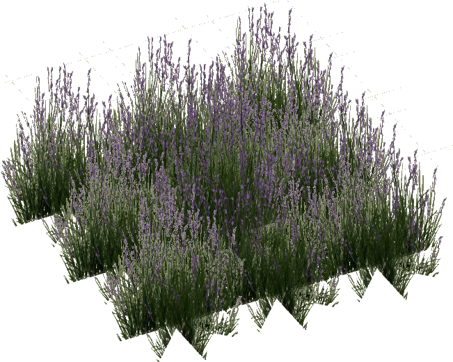 Long Grass - Portable Network Graphics (650x650), Png Download
