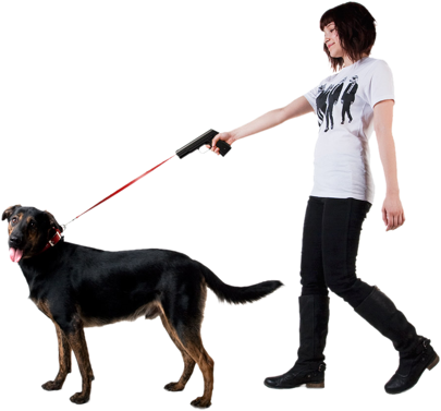 Pitbull Energy Dog Snap Leash Premium - Gun Pointing At Dog (405x377), Png Download