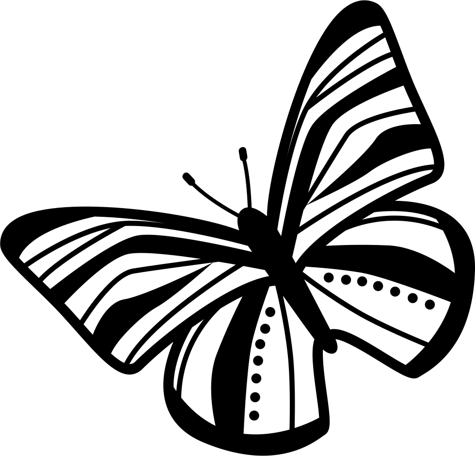 Butterfly Striped Wings Top View Rotated To Left Comments - Butterfly (980x940), Png Download