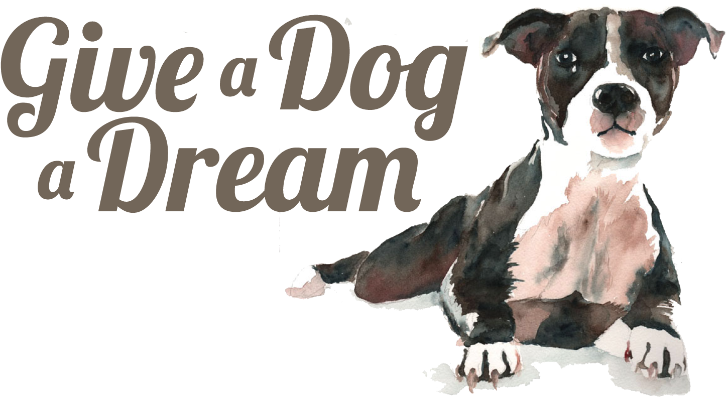 Lobster Font (1474x811), Png Download