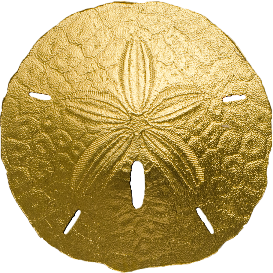 Golden Sand Dollar - Palau Sand Dollar 2017 (910x910), Png Download