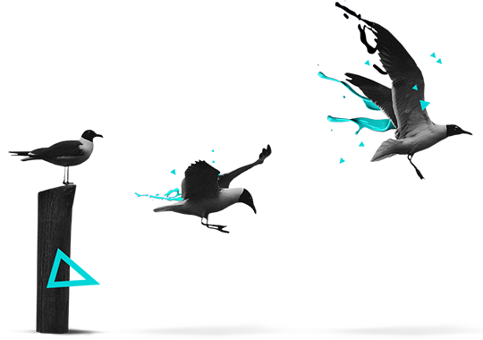 Having A Comprehensive Offer Means That We Can Not - Learning To Fly (540x380), Png Download