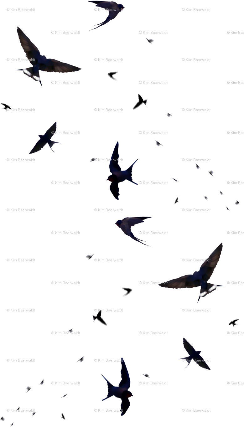 Textile (788x1369), Png Download