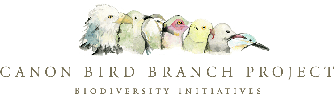 Canon Bird Branch Project - Rasmuson Foundation (1100x322), Png Download