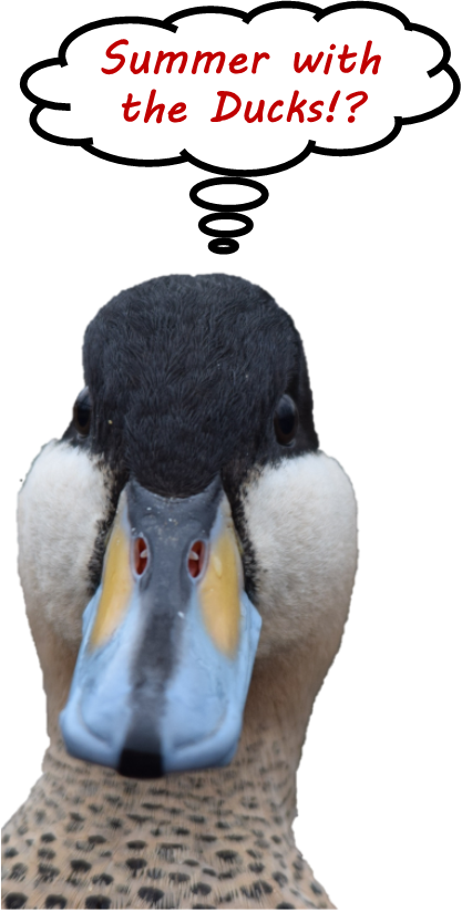 2016 Programs - Logic (417x822), Png Download