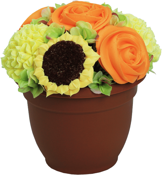 Persian Buttercup (638x800), Png Download