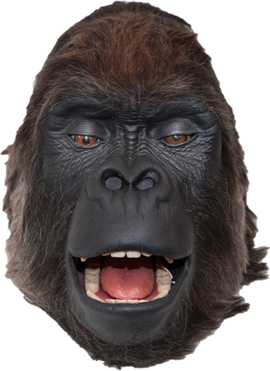 Special Effects Animal Suits - Gorilla (600x600), Png Download