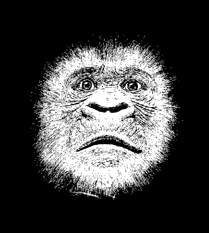Mb Image/png - Der Doppelmord In Der Rue Morgue (800x891), Png Download