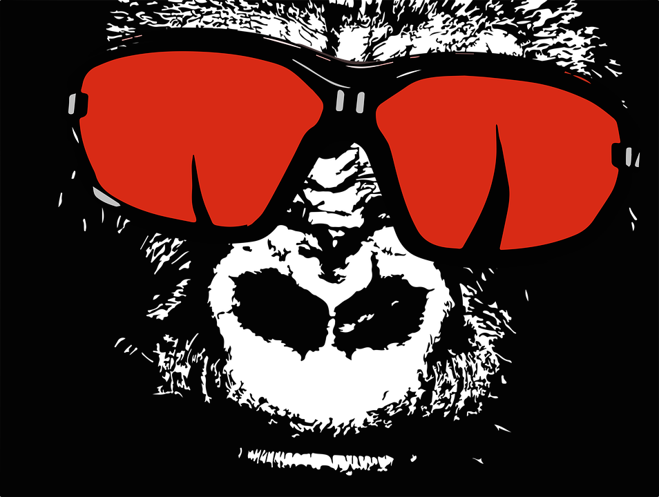 Gorilla, New Generation Gorilla, Gorilla Png, Handsome - Gambar Kartun Gorila Lucu (954x720), Png Download