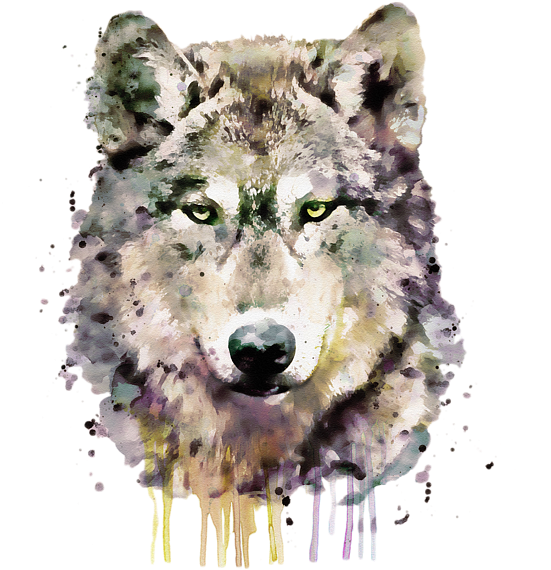 Bleed Area May Not Be Visible - Aquarelle Wolf (600x600), Png Download