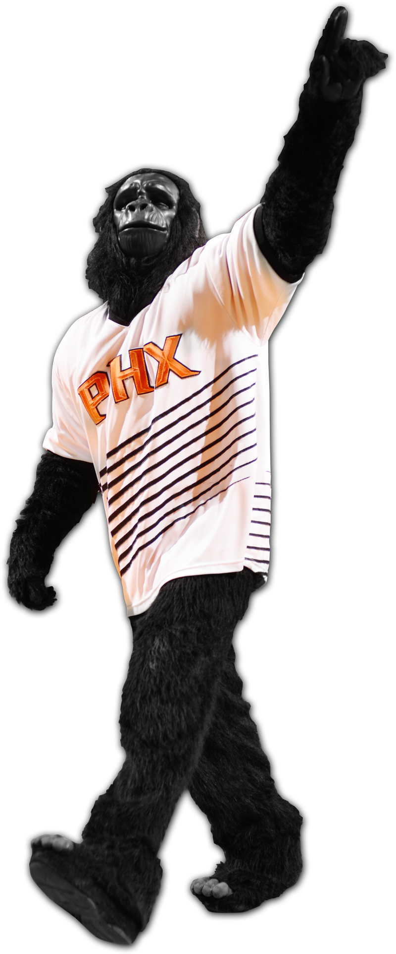 Stars Gorilla - Suns Mascot Png (800x1923), Png Download