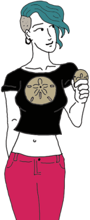 Sand Dollar (450x450), Png Download