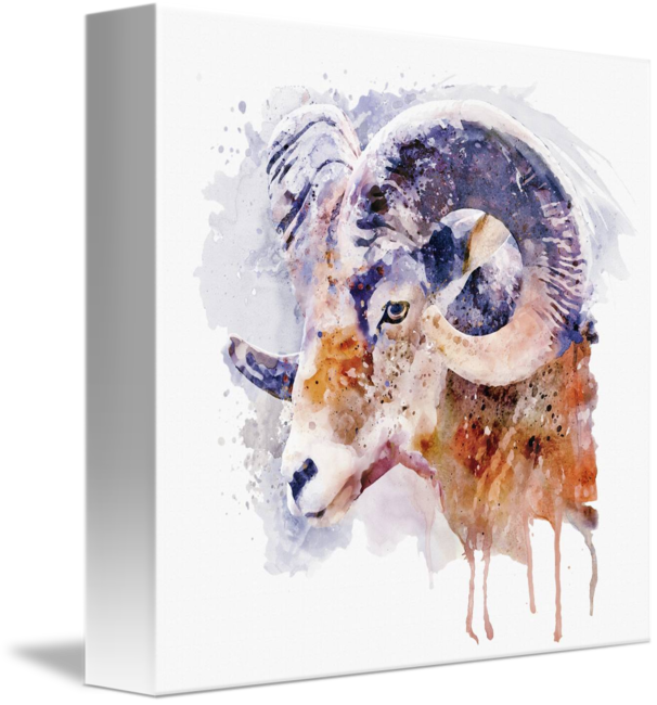 Bighorn Sheep Watercolor Portrait By Marian Voicu - Big Horned Sheep Watercolor (606x650), Png Download