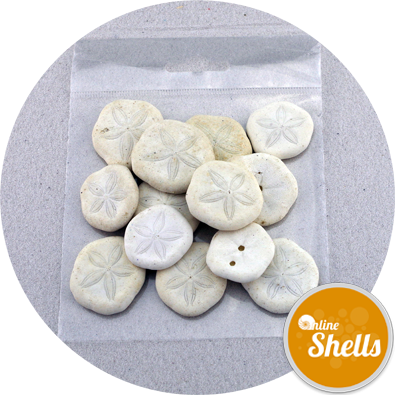 Art & Craft Pack - Art (395x395), Png Download