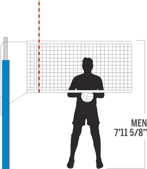 Net Height - Volleyball Net Height For Mens (496x556), Png Download