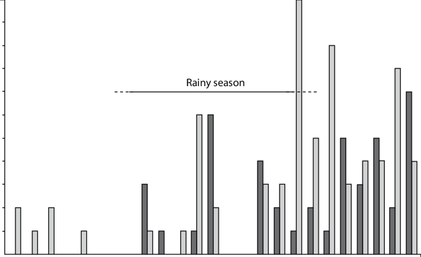 Numbers Of The Sand Dollar, Mellitella Stokesii And - Diagram (850x519), Png Download