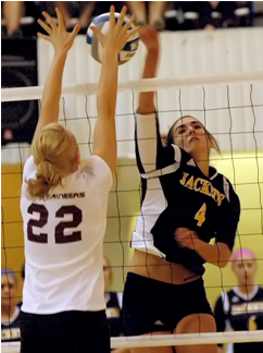 Volleyball Drops Home Opener - Volleyball (500x323), Png Download