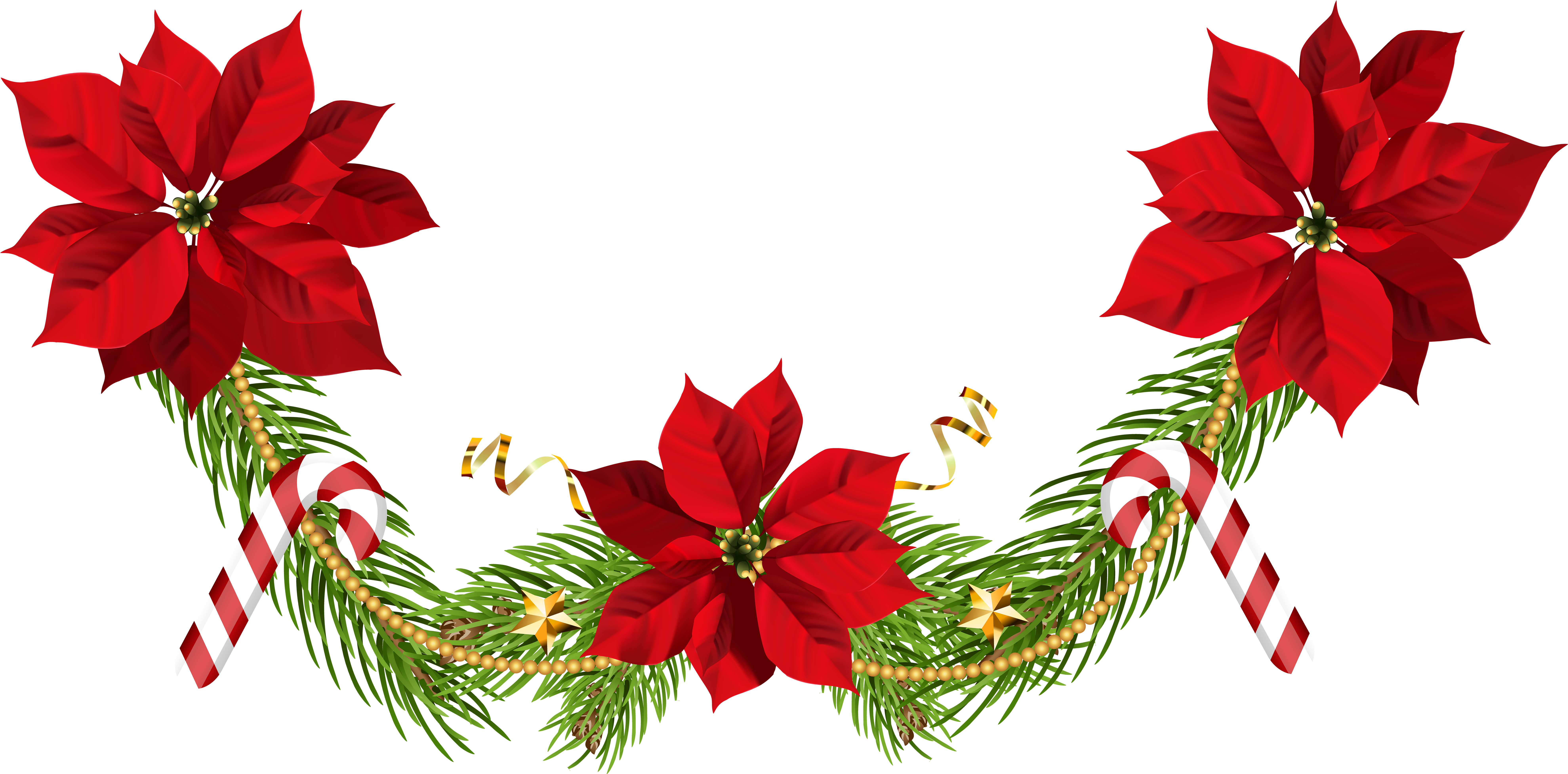 Image Stock Christmas Poinsettias Clip Art Png Image - Flower Garland Hd Png (8000x3998), Png Download