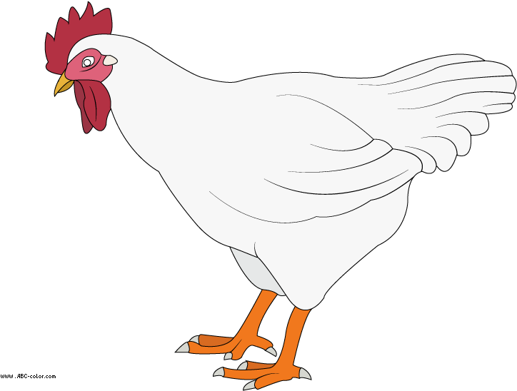 Курица Рисунок (822x567), Png Download