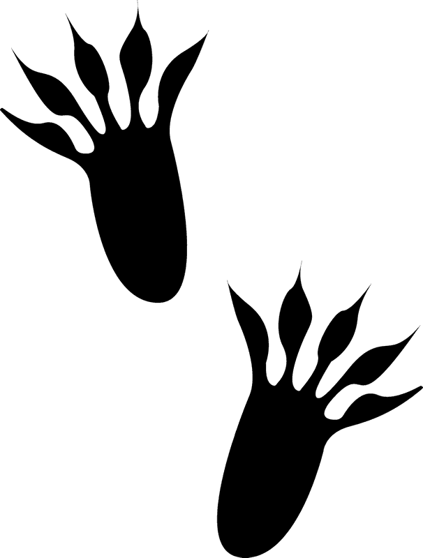 Tracks Rubber Stamp Animal Stamps Stamptopia - Squirrel Tracks (606x800), Png Download