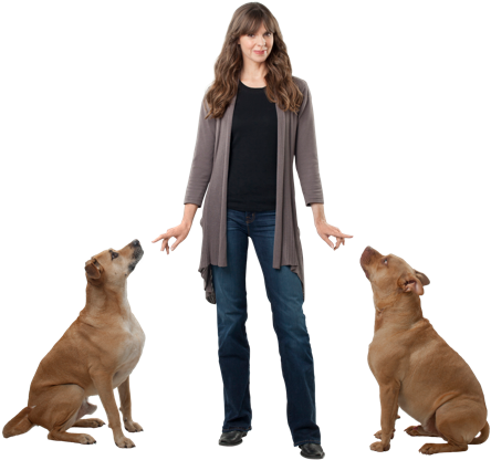 Victoria Stilwell Dogs - Victoria Stilwell Dog Trainer (488x448), Png Download