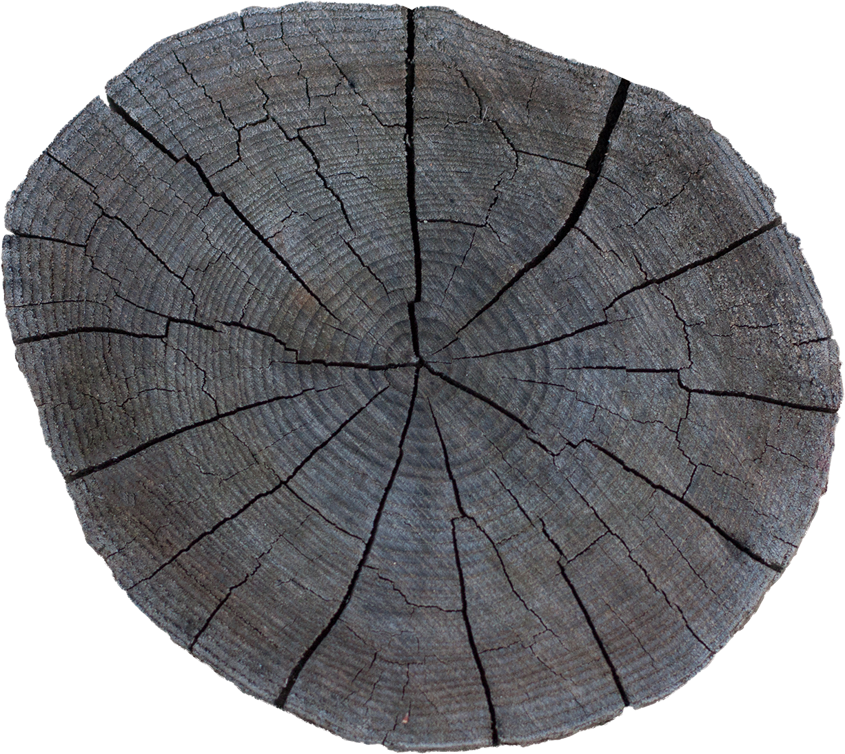 Wood End 31 - Tree Stump (1259x1114), Png Download