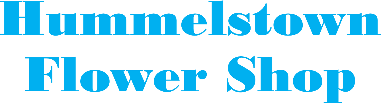 Hummelstown Flower Shop - Clothing (1624x584), Png Download