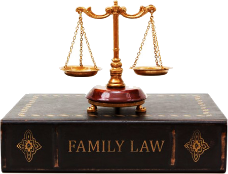 Immigration Law (450x345), Png Download