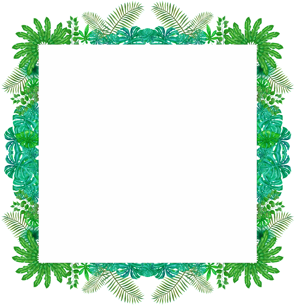 Fresh Green Leaf Frame Png Transparent - Portable Network Graphics (1024x1036), Png Download