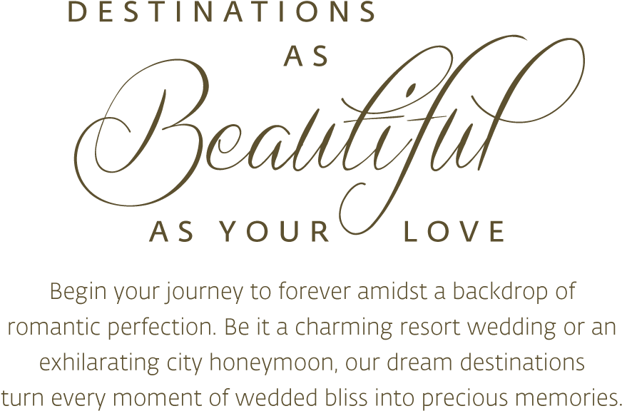 Picture Royalty Free Stock Quote Transparent Wedding - Calligraphy (1000x611), Png Download