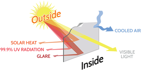 Sunlight Has A Profound Effect On The Skin Causing - Heat Reduction Film (500x254), Png Download
