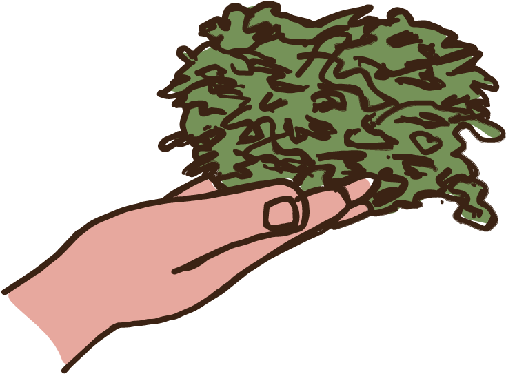 Hops - Illustration (960x960), Png Download