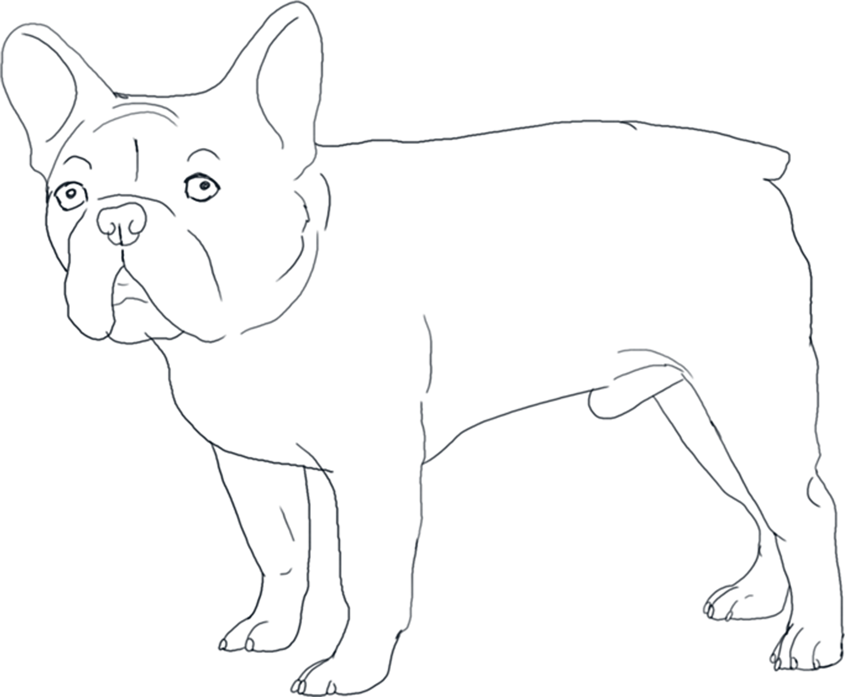 All I Ask Is That You Credit Me In The Artist Comments - French Bulldog Coloring Pages (3338x2752), Png Download