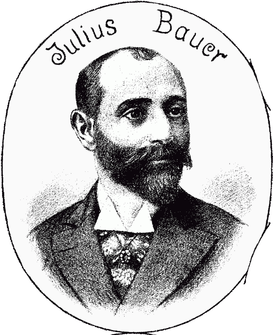 Julius Bauer 1893 Der Floh (971x1180), Png Download