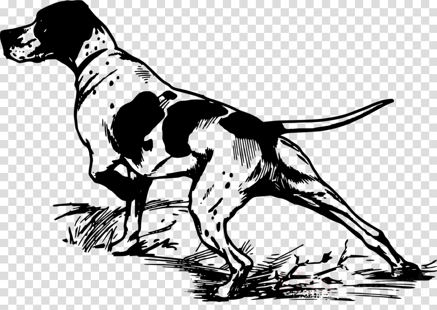 Hunting Dog Clip Art Clipart German Shorthaired Pointer - Bird Dog Clip Art (900x640), Png Download