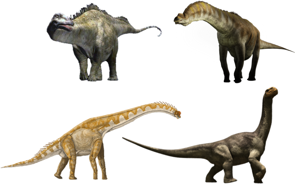 Share Using Facebook - Brachiosaurus Compared To Giraffe (980x641), Png Download