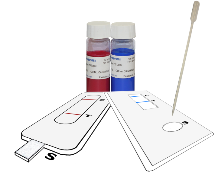 Red And Blue Carboxlated Ps Latex Used For Rapid Test - Gadget (804x725), Png Download