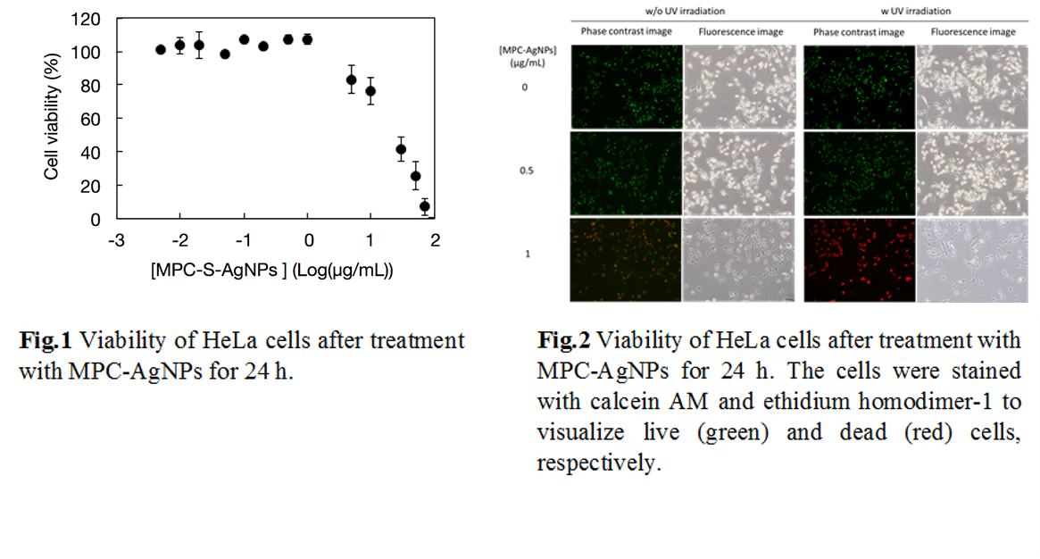 Mpc-agnps Used In Our Research Were Small Size Particles, - Diagram (1165x659), Png Download