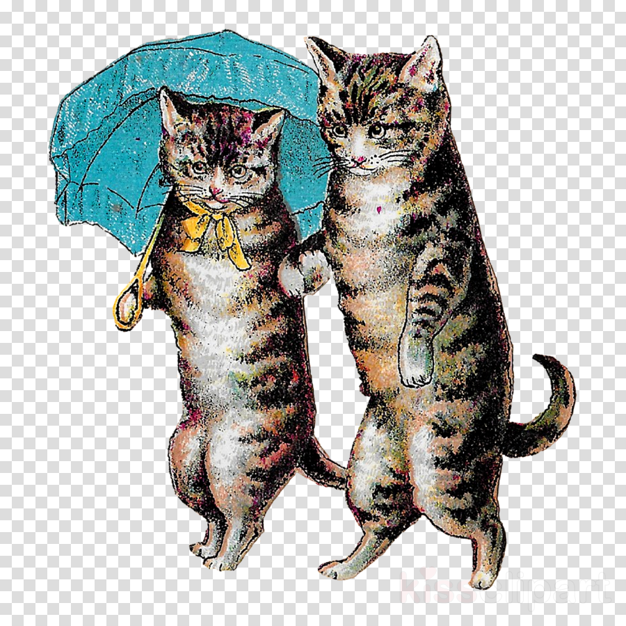 Cute Victorian Drawing Clipart Dragon Li American Shorthair - Allposters.co.uk Art Print: Cats With Umbrella, 61x46cm. (900x900), Png Download